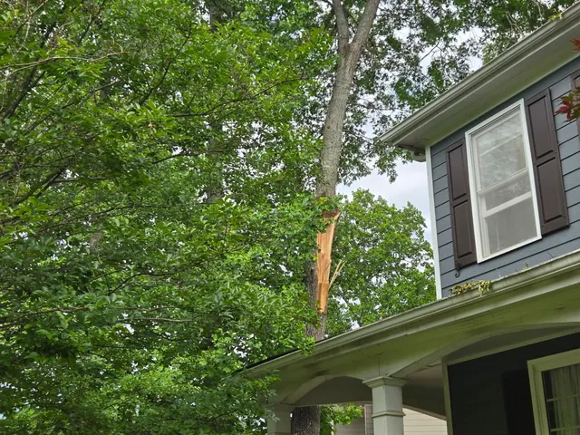 Tree impact damage adjacent to a residential structure